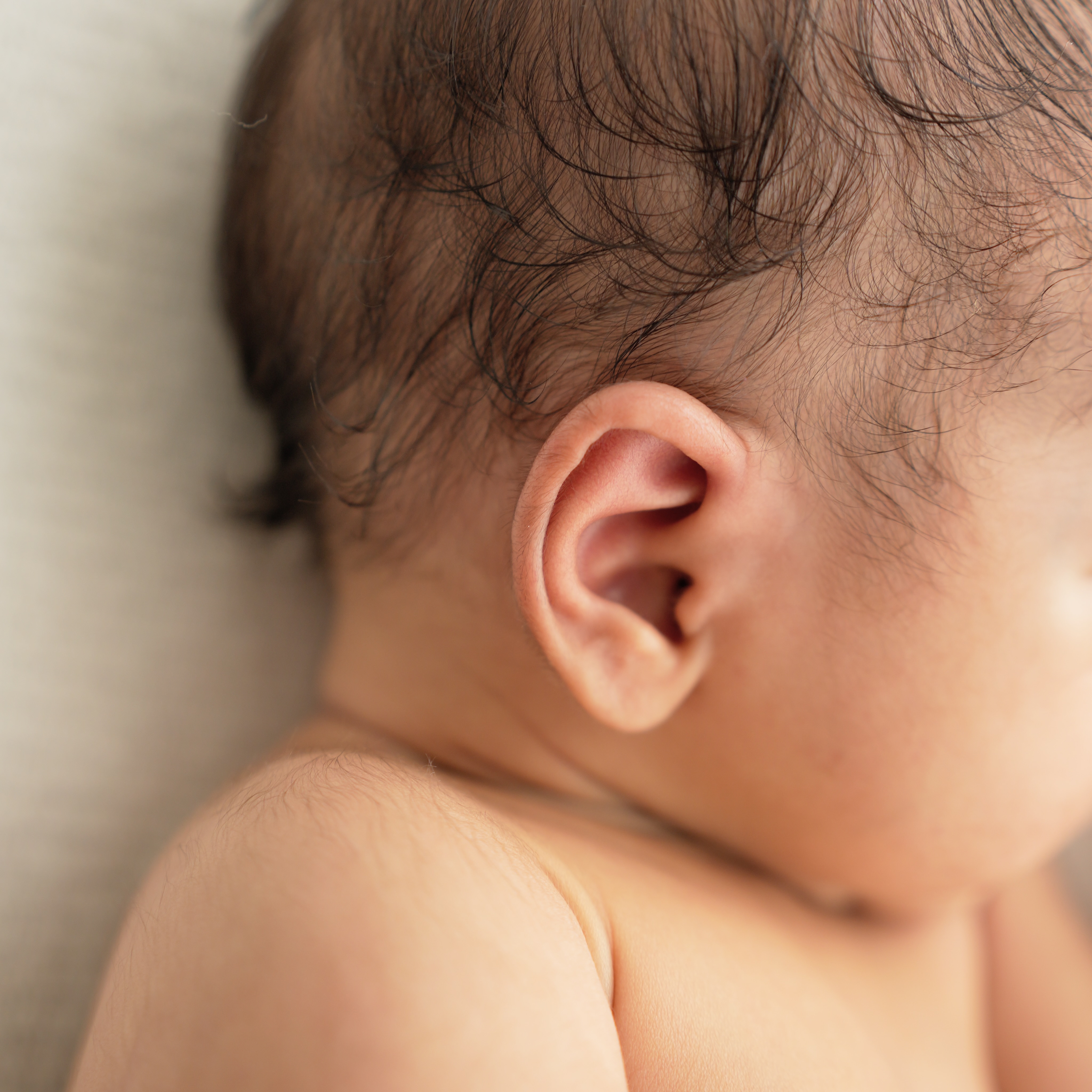 Newborn portrait